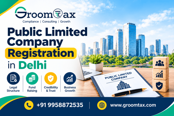 What Is Public Limited Company Registration and How Does It Work in Delhi?