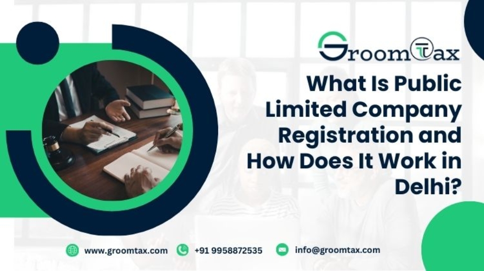What Is Public Limited Company Registration and How Does It Work in Delhi